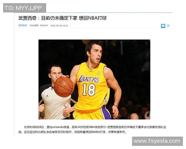 NBA明星球员赛季表现及职业规划