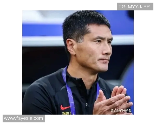 中国主帅谈“归化球员计划”:暂不扩展